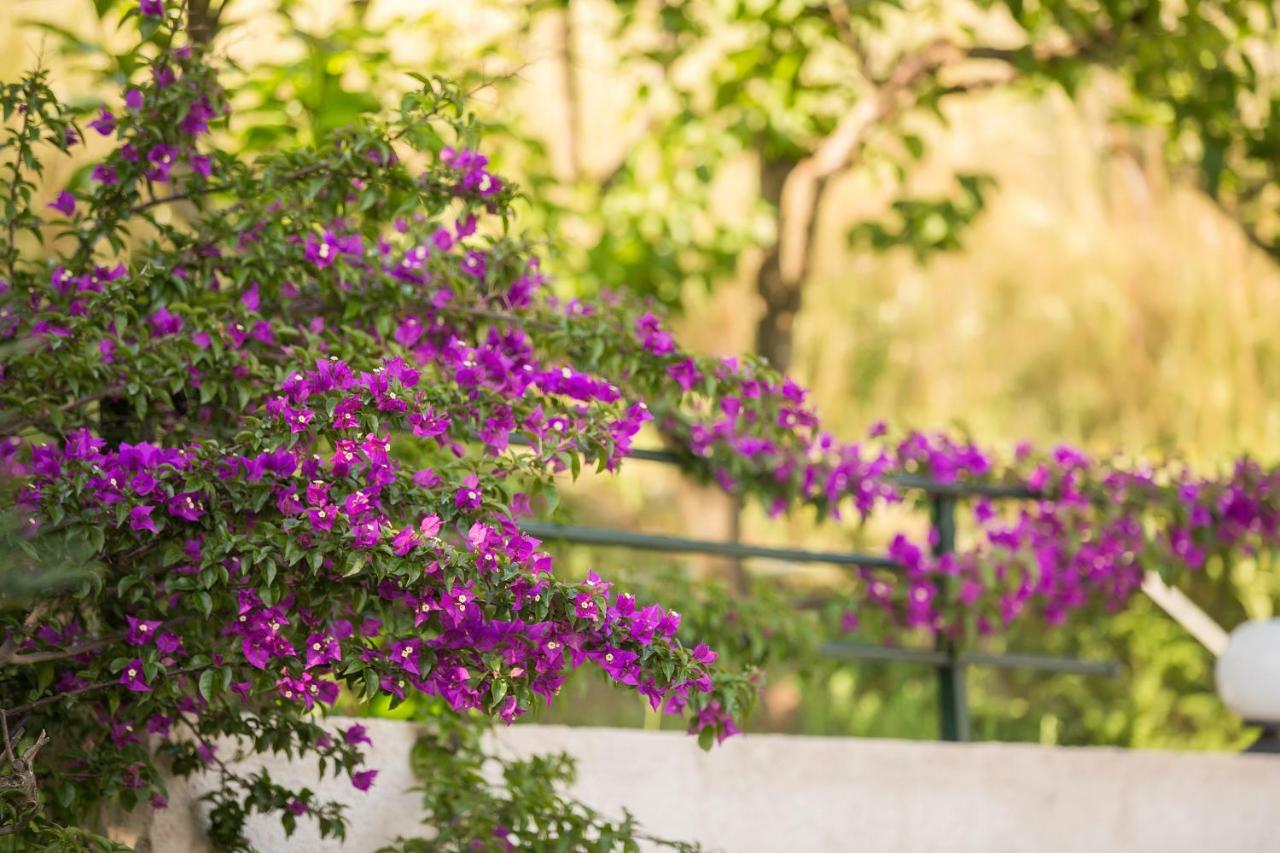 Natural Beauty Spot Ano Garouna Luaran gambar